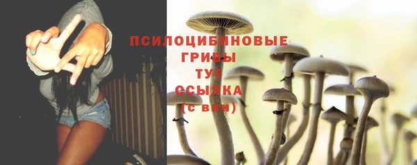 ешки Алзамай