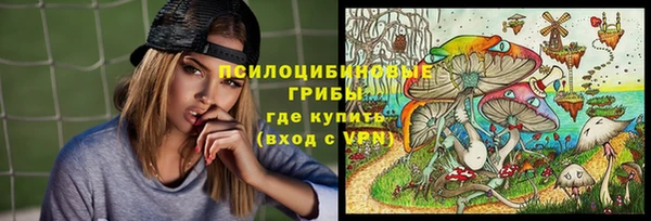 ешки Алзамай